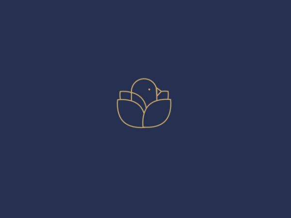 communicatie agency Limburg